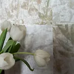 Bed & Breakfast Il Biotto - Adults Only